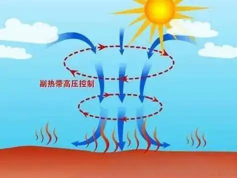 即将入伏！今年的三伏天只有30天，什么时候最热？