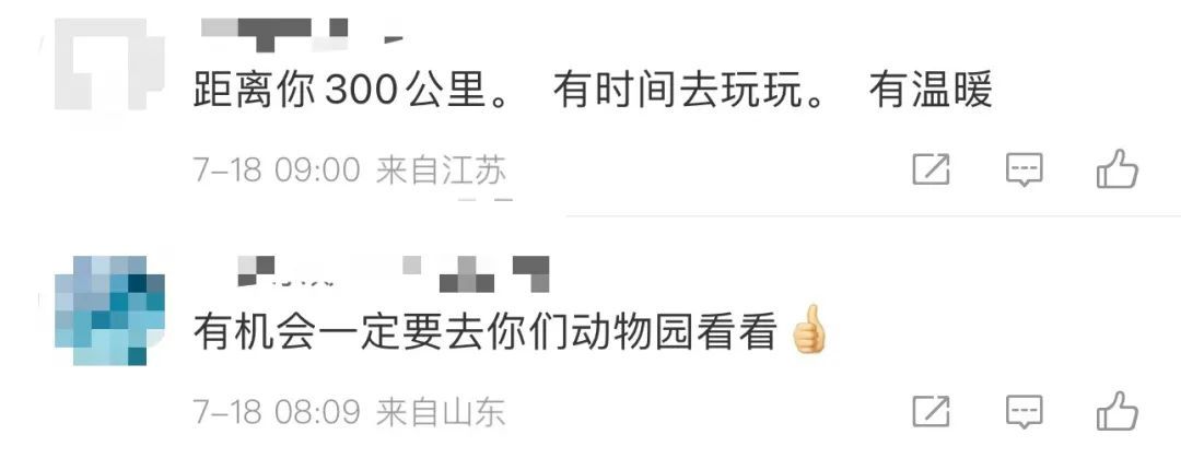 动物园将许愿池12083元捐给患病女童！网友：第一次看到许愿池有了实际意义