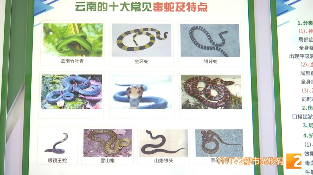 近期高发！昆明有医院已收治上百例患者！医生紧急提醒→