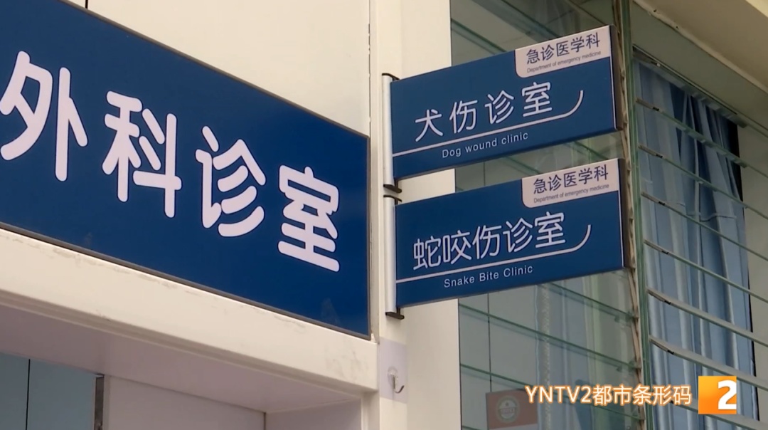 近期高发！昆明有医院已收治上百例患者！医生紧急提醒→