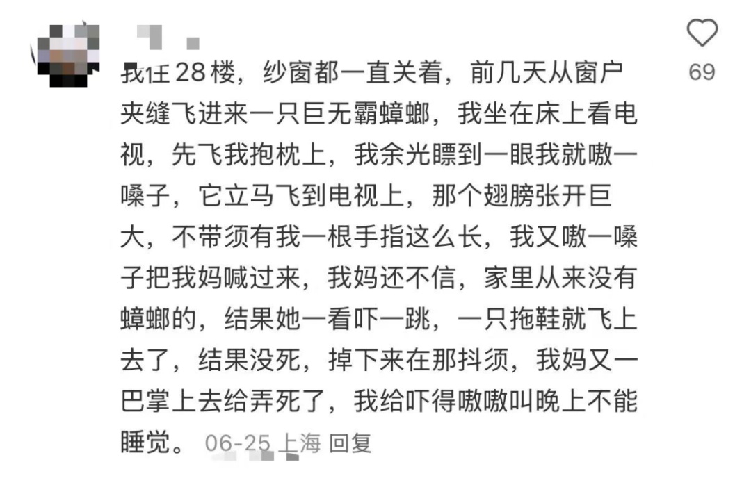上海人周末泡汤?1个好消息1个坏消息网友晒家中"巨型蟑螂"头皮发麻,科普! 上海人周末泡汤?1个好消息1个坏消息网友晒家中"巨型蟑螂"头皮发麻,科普!