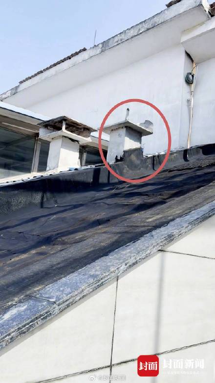 “猫命也是命！”40℃高温四川男子智救被困小猫