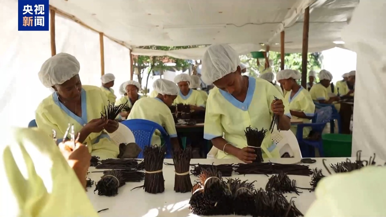 美关税威胁下 马达加斯加香草寻破局之路