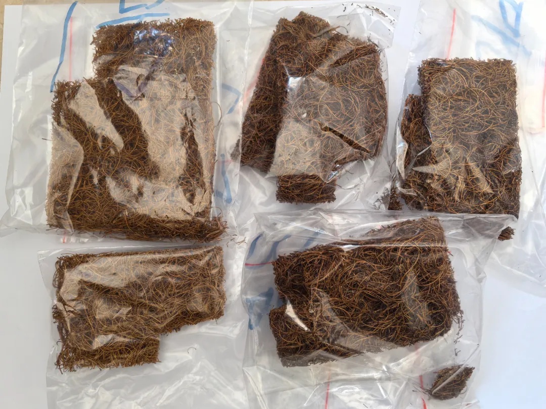 什么？“粑粑丝”竟是毒品？！