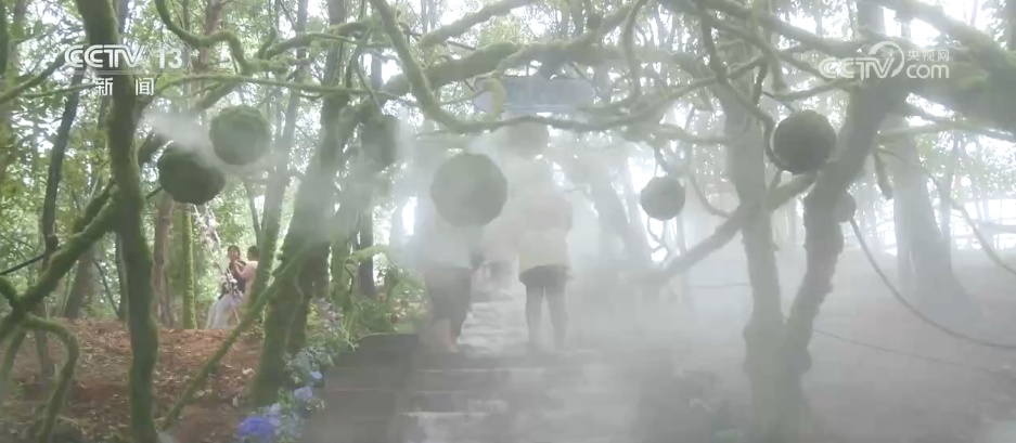 “花式”消暑新场景催热文旅“清凉消费” 夏日经济活力释放