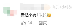 上海人周末泡汤?1个好消息1个坏消息网友晒家中"巨型蟑螂"头皮发麻,科普! 上海人周末泡汤?1个好消息1个坏消息网友晒家中"巨型蟑螂"头皮发麻,科普!