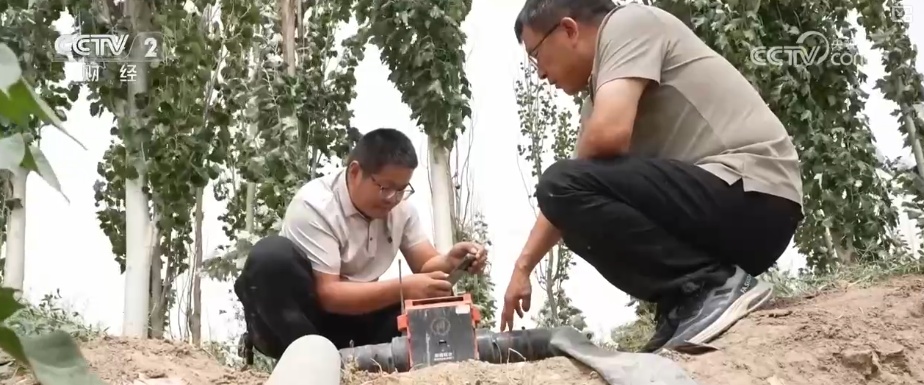 “指尖轻触”智慧耕作 “科技卫士”成得力助手 棉田管理更“聪明”夯实丰产基础