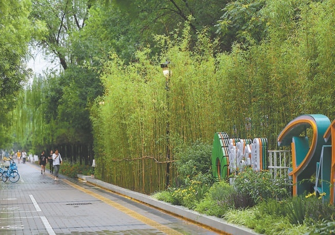 拆墙透绿！北京朝阳公园路变花园式风情街