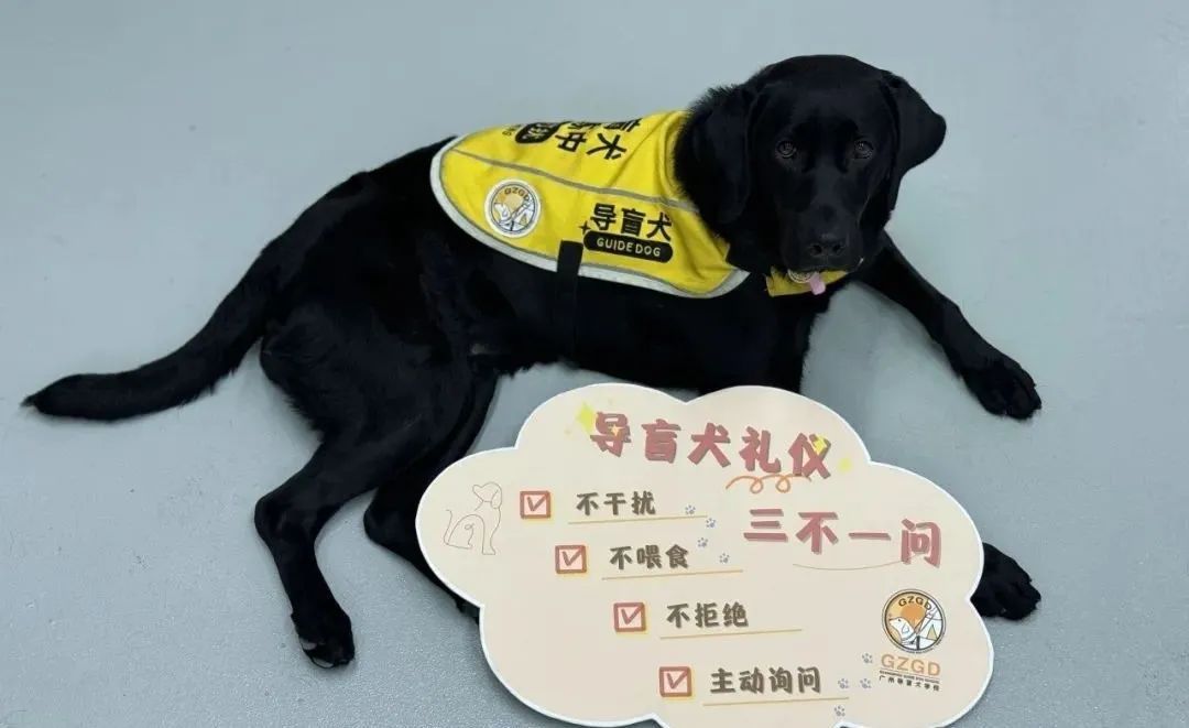 培训期的导盲犬，能不能进入公共交通场景训练？