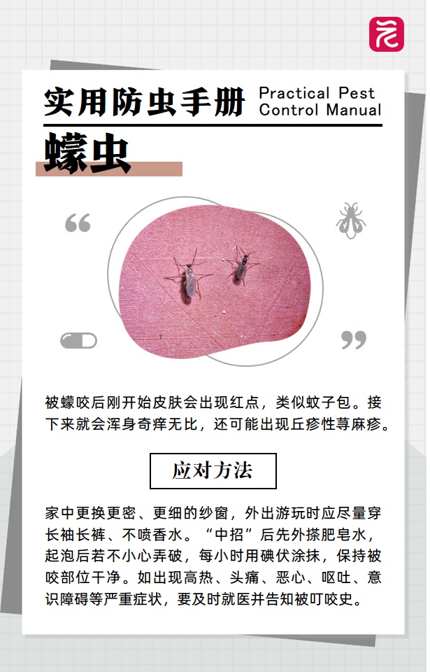 不要摸不要碰！广东多地突然大量出现，密密麻麻头皮发麻......紧急提醒