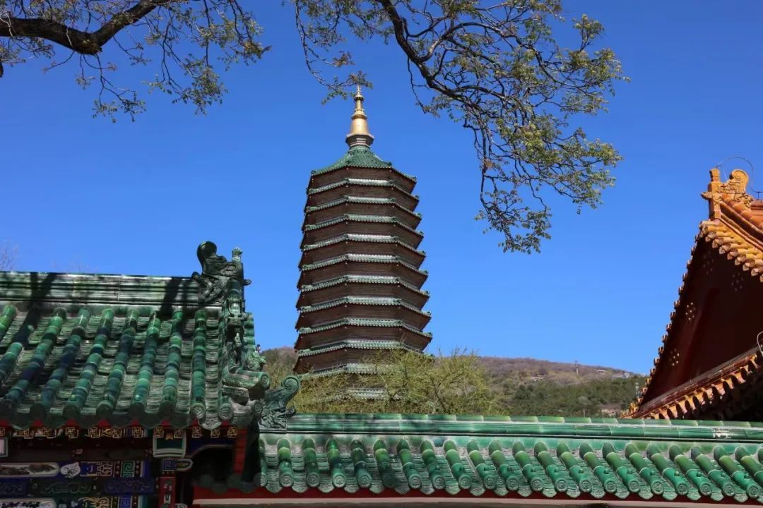 绿隔公园建筑系列 | 八大处公园建筑屋脊上的防火队长——鸱吻! 绿隔公园建筑系列 | 八大处公园建筑屋脊上的防火队长——鸱吻!