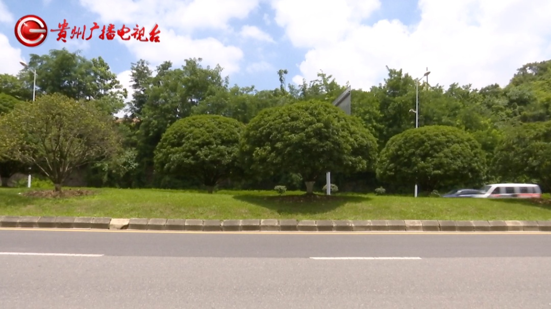 点赞贵阳环卫大姐!游客醉酒丢手机,她的举动让人暖心又感动 点赞贵阳环卫大姐!游客醉酒丢手机,她的举动让人暖心又感动