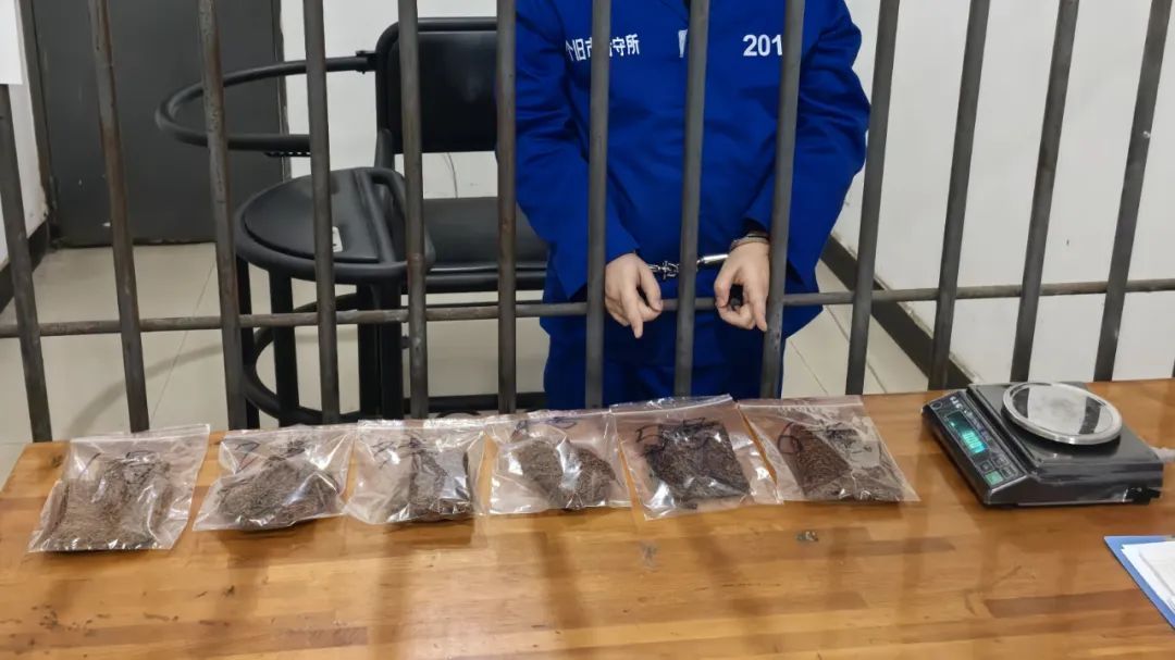 “粑粑丝”竟是毒品？！