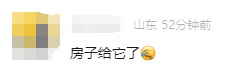 上海人周末泡汤?1个好消息1个坏消息网友晒家中"巨型蟑螂"头皮发麻,科普! 上海人周末泡汤?1个好消息1个坏消息网友晒家中"巨型蟑螂"头皮发麻,科普!