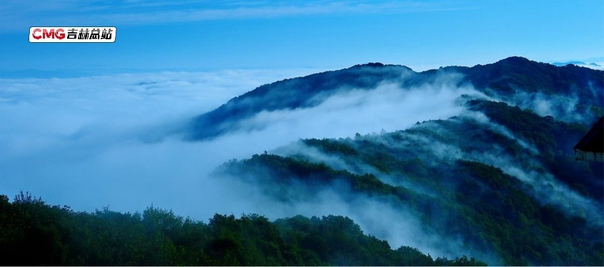 长白览夏丨云海翻腾 气象万千