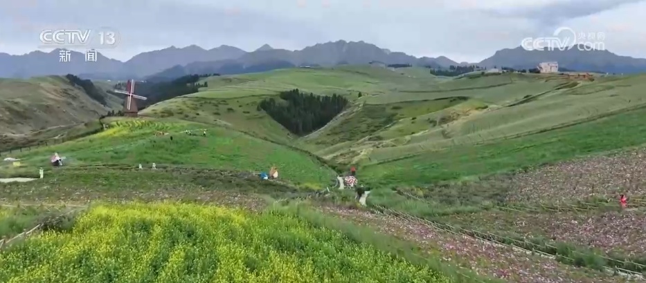 “花式”消暑新场景催热文旅“清凉消费” 夏日经济活力释放