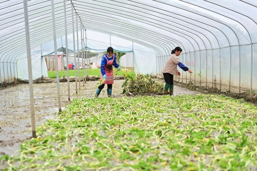 那个瞒着父母考研的广西女孩,收到录取通知书后递给妈妈亲手拆 那个瞒着父母考研的广西女孩,收到录取通知书后递给妈妈亲手拆