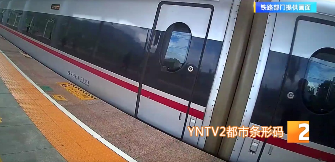 紧急！动车车门关闭，2岁男童突然跑下车……