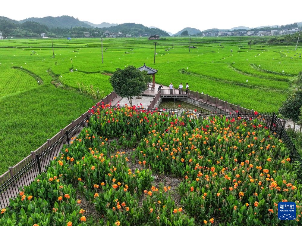 贵州天柱：人居环境整治 扮靓和美乡村
