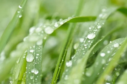 台风“韦帕”明日登陆!辽宁局地暴雨、大暴雨!这些地方注意→ 台风“韦帕”明日登陆!辽宁局地暴雨、大暴雨!这些地方注意→