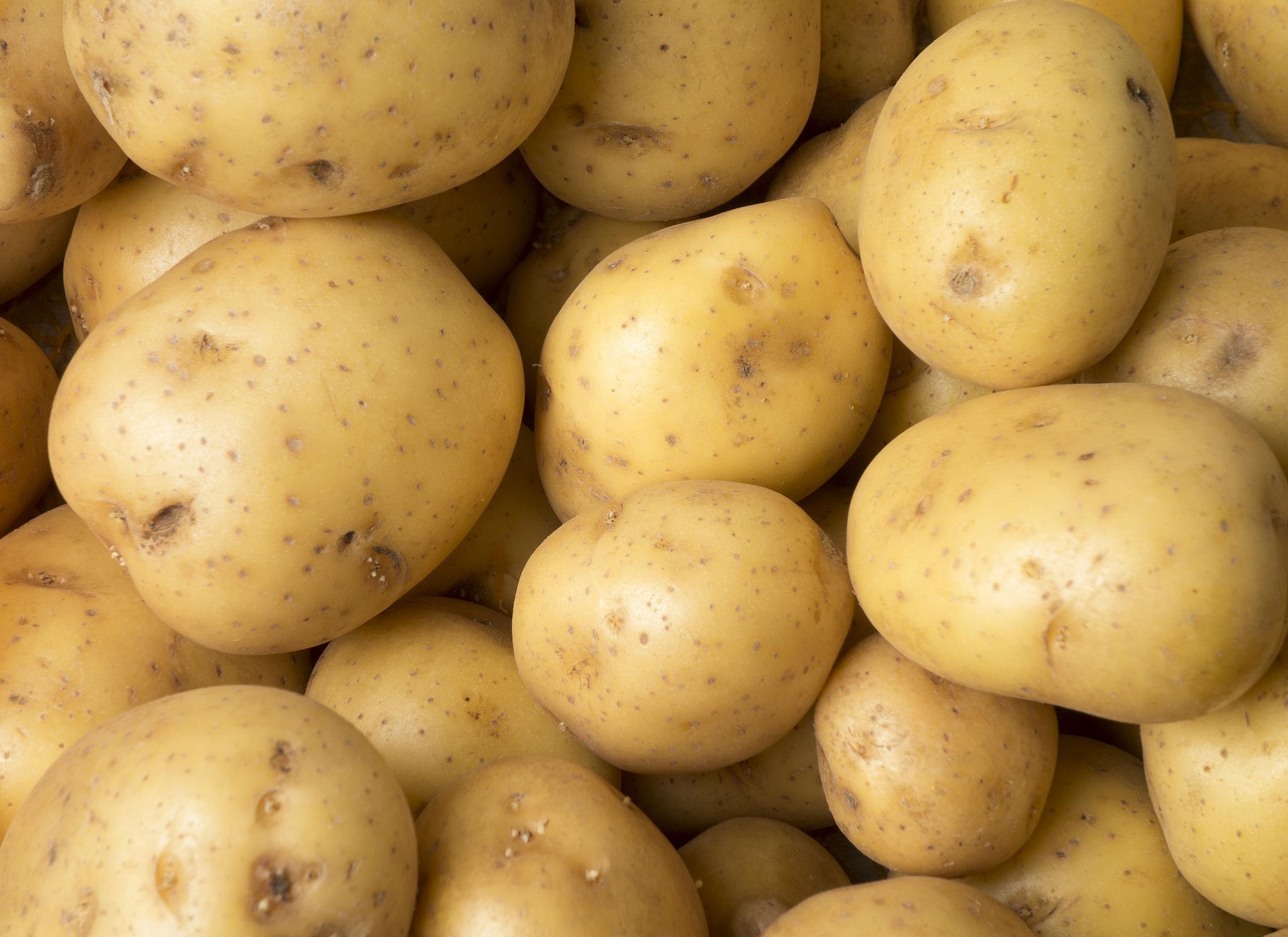 减肥别饿肚子！这5种高热量食物助你掉秤