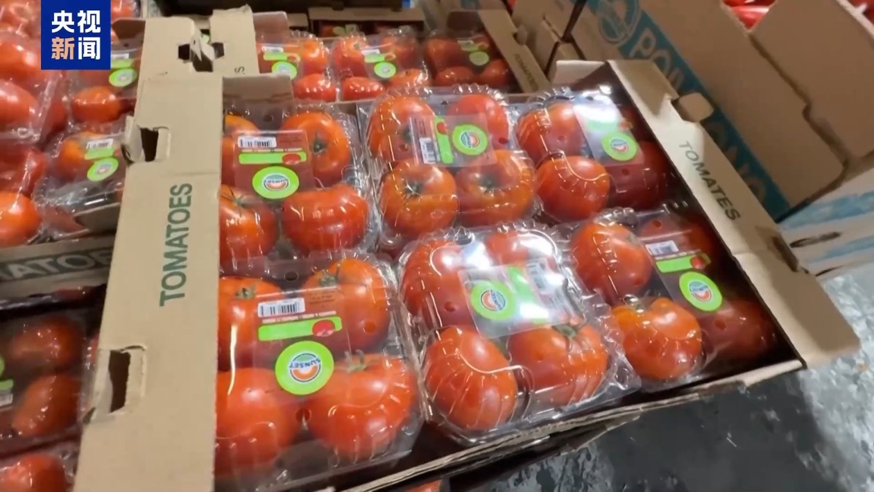 美经销商:90%番茄都来自墨西哥 美国政府关税政策不现实 美经销商:90%番茄都来自墨西哥 美国政府关税政策不现实