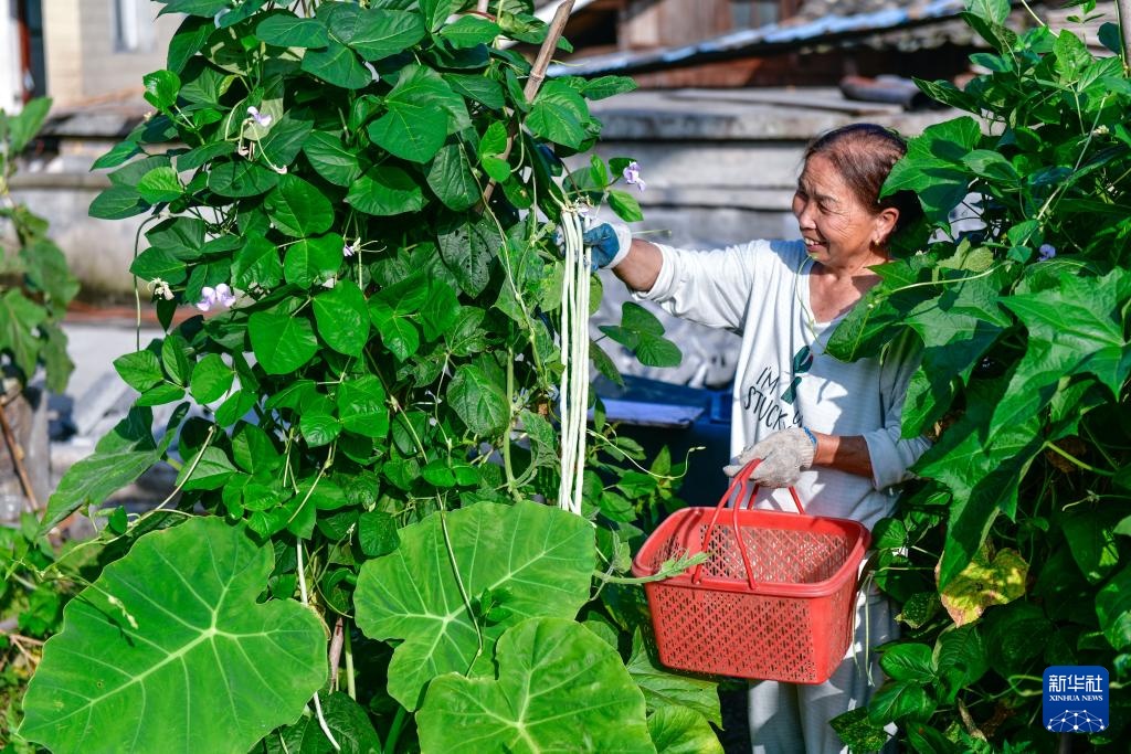 贵州天柱：人居环境整治 扮靓和美乡村