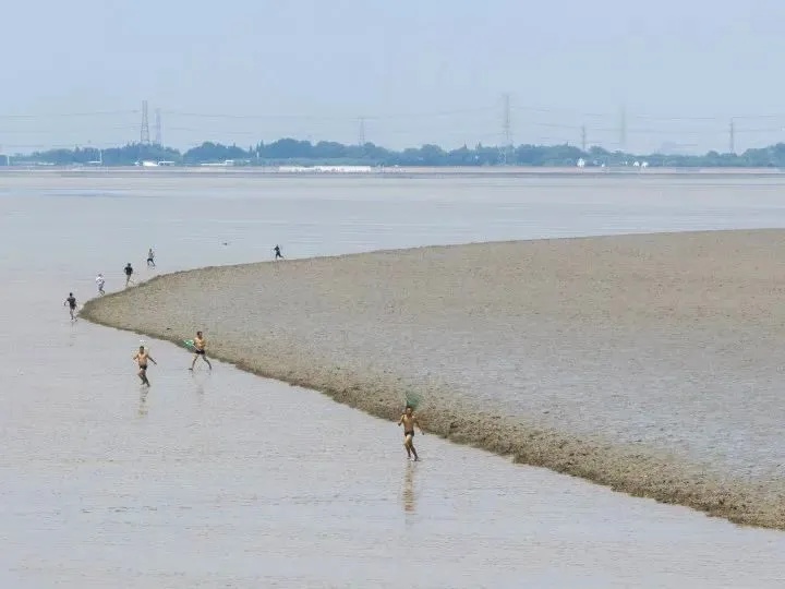 不要去！不要去！是“吃人”陷阱！浙江一地紧急提醒