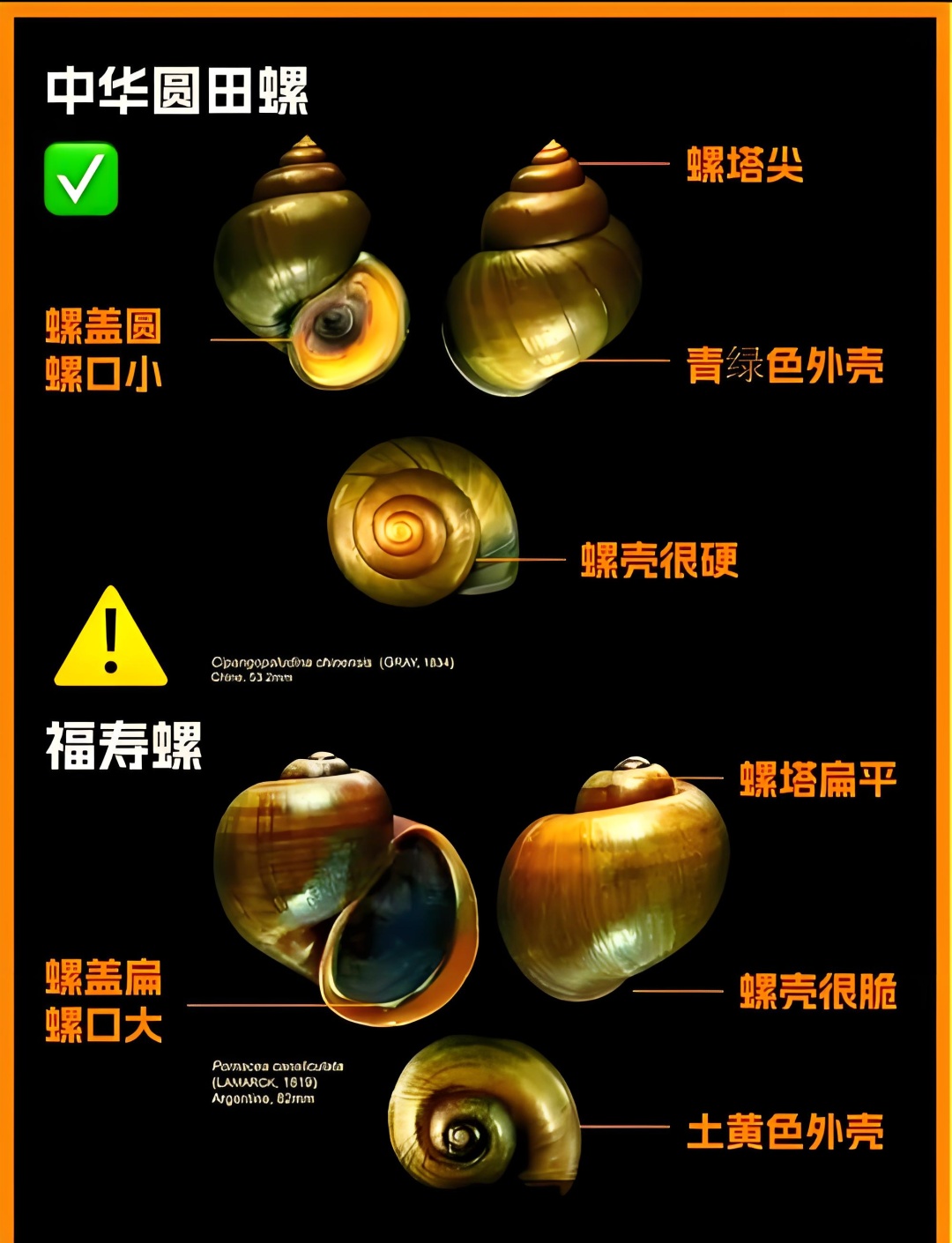 这种夜市爆款千万别乱吃！河南疾控重要提醒，寄生虫多达6000多条