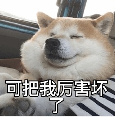 “大几发小狗？”“好像是大二下学期！”
