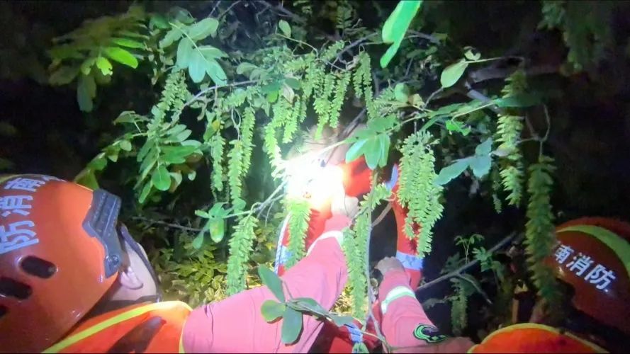 男子深夜摸螺太入戏后遭“围堵”,无奈上树等救援...... 男子深夜摸螺太入戏后遭“围堵”,无奈上树等救援......