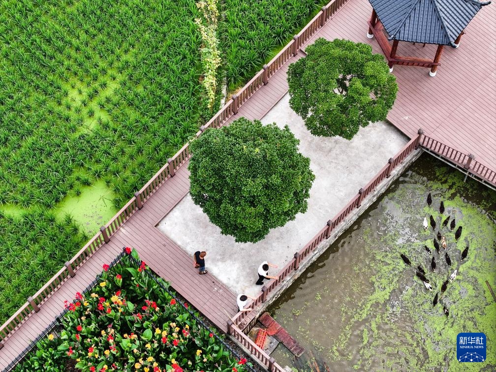 贵州天柱：人居环境整治 扮靓和美乡村