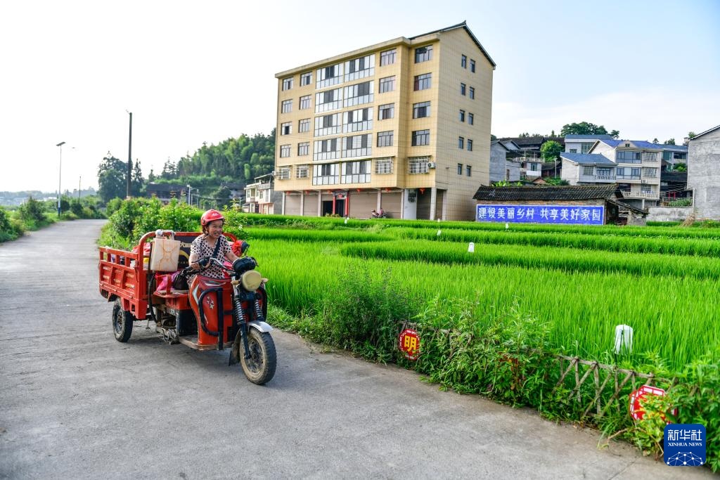 贵州天柱：人居环境整治 扮靓和美乡村