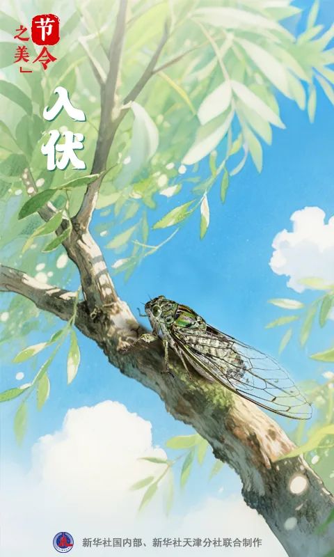 这一连续10年的纪录被终结！