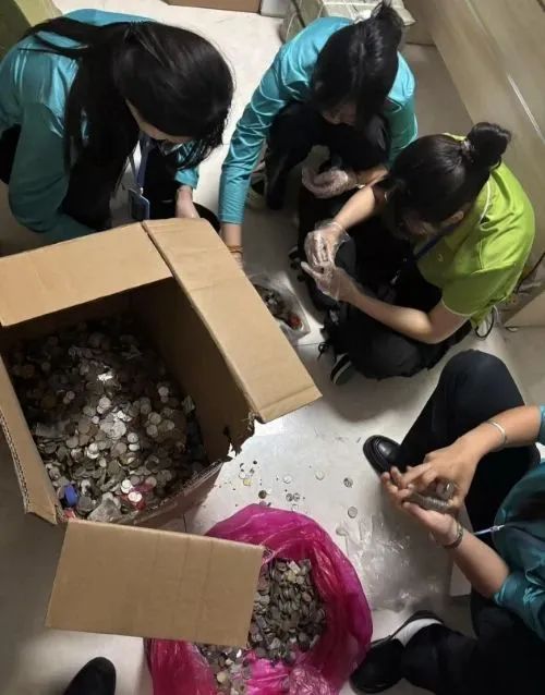 为救2岁重病孩子，动物园“掏空”了许愿池……