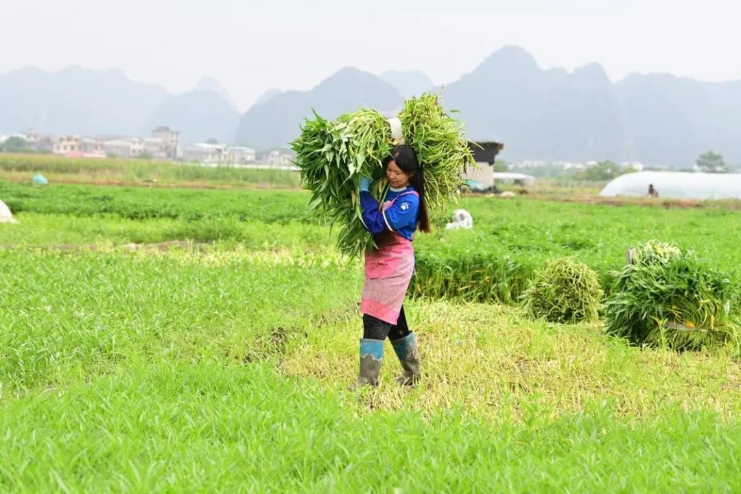 那个瞒着父母考研的广西女孩,收到录取通知书后递给妈妈亲手拆 那个瞒着父母考研的广西女孩,收到录取通知书后递给妈妈亲手拆