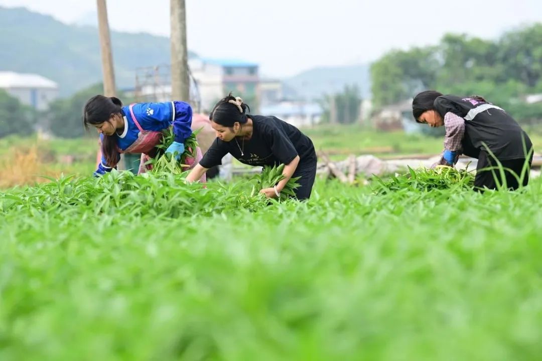 那个瞒着父母考研的广西女孩,收到录取通知书后递给妈妈亲手拆 那个瞒着父母考研的广西女孩,收到录取通知书后递给妈妈亲手拆