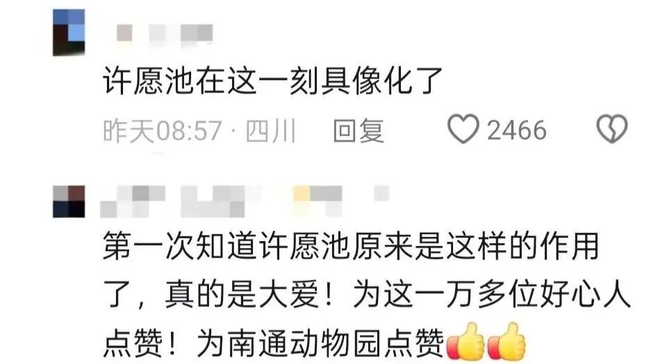 为救2岁重病孩子，动物园“掏空”了许愿池……