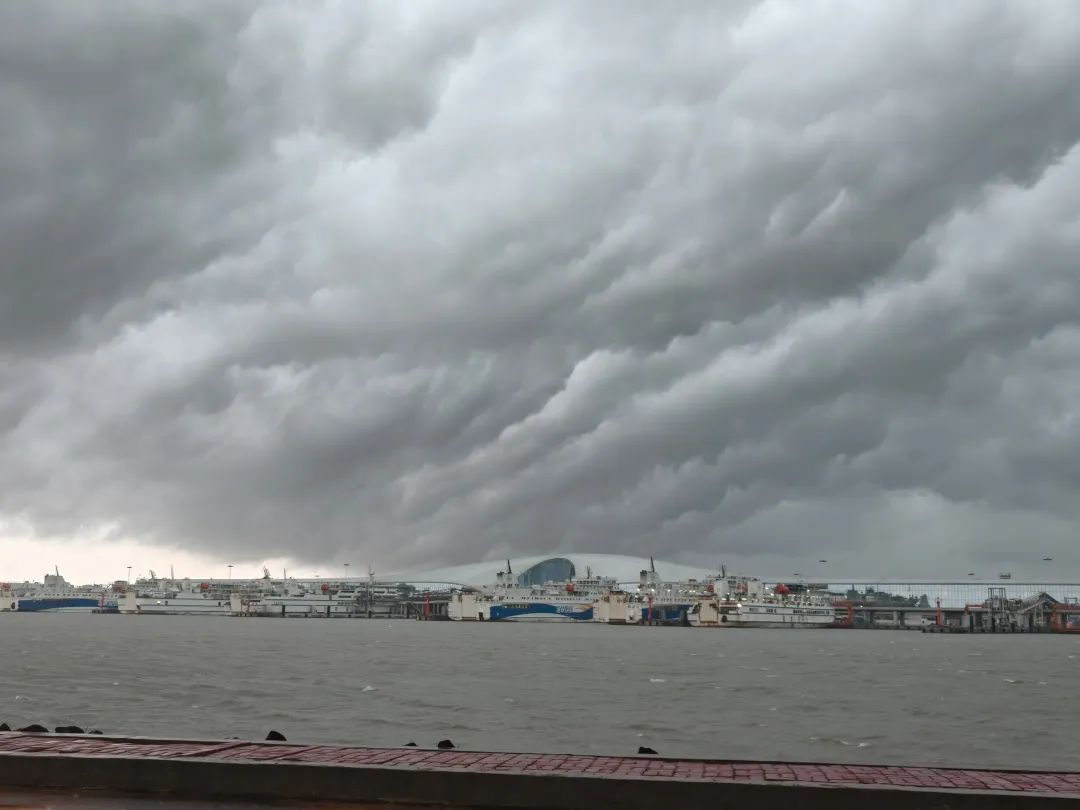 停运！停航！台风“韦帕”将登陆