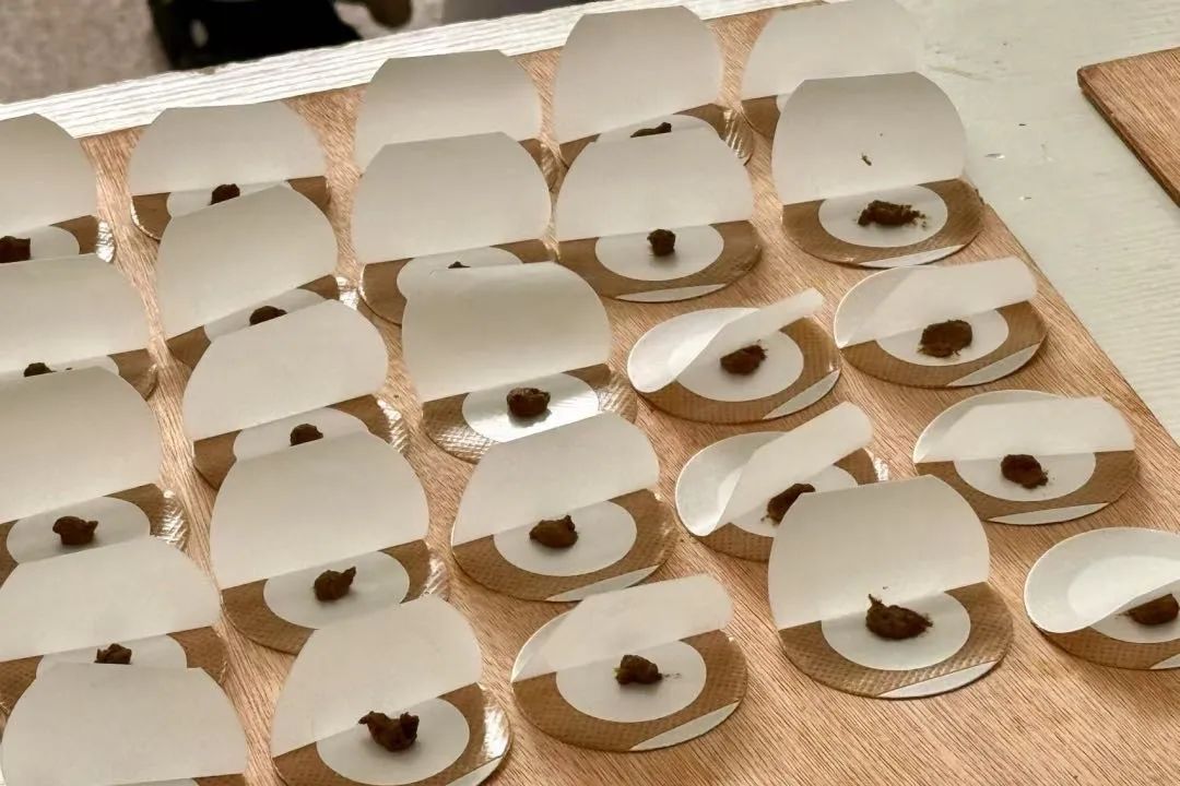 今日入伏，正是冬病夏治的好时机！