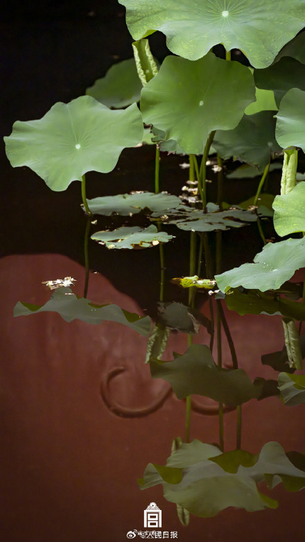 收藏！故宫清凉感壁纸来了