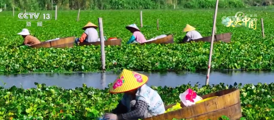 青峰翠壑、奇松怪石、碧海银沙……各地夏日美景勾勒出一幅盛夏绮丽画卷