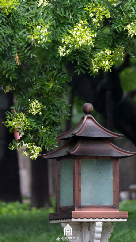 收藏！故宫清凉感壁纸来了