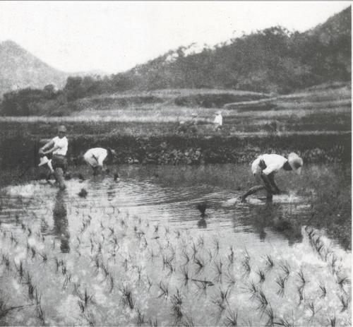 这些影像,让世界看见新四军抗战实况 这些影像,让世界看见新四军抗战实况