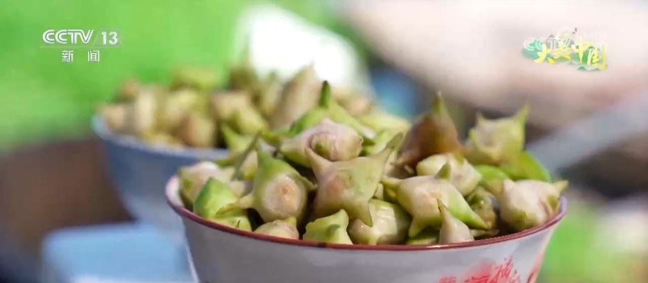 青峰翠壑、奇松怪石、碧海银沙……各地夏日美景勾勒出一幅盛夏绮丽画卷