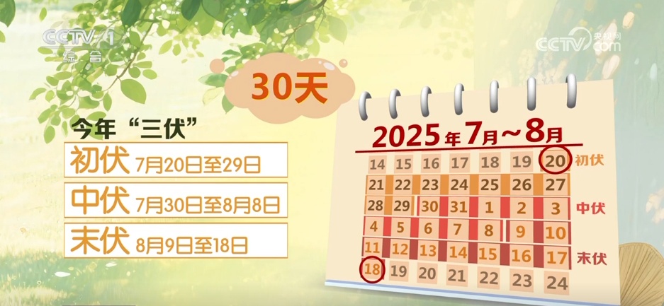盛夏登场，“最短”三伏天来了！