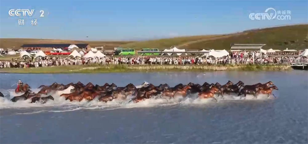 新疆昭苏草原上演“万马奔腾”壮观景象 马产业蓬勃发展打造影响力IP 新疆昭苏草原上演“万马奔腾”壮观景象 马产业蓬勃发展打造影响力IP