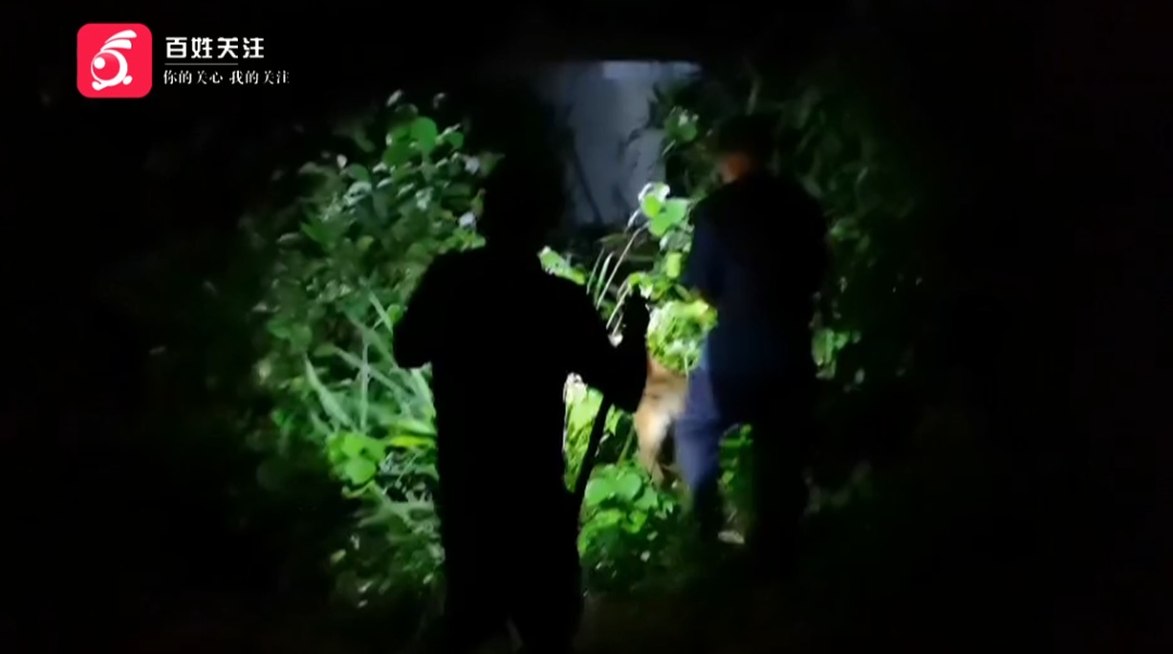 揪心！贵州一94岁老人捡菌迷路被困山林，幸好有他们...