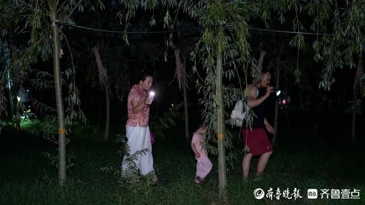 正大量出现！济南人一天起码吃掉数万只，有人靠它一天收入过万，很多人抢着买