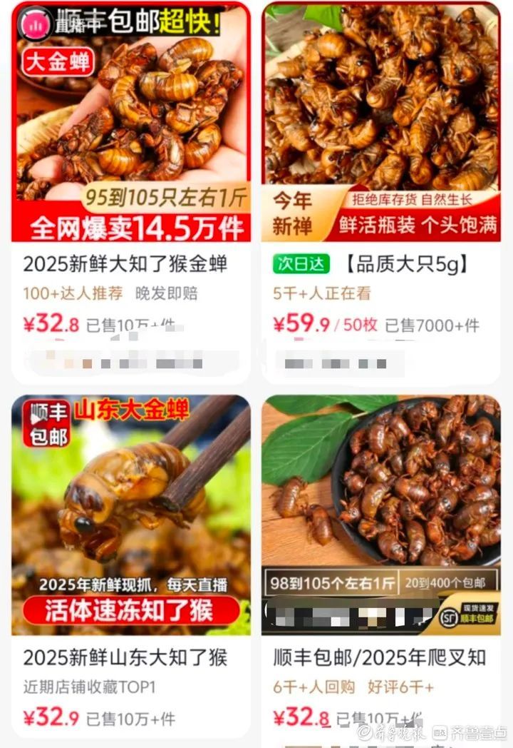 正大量出现！济南人一天起码吃掉数万只，有人靠它一天收入过万，很多人抢着买
